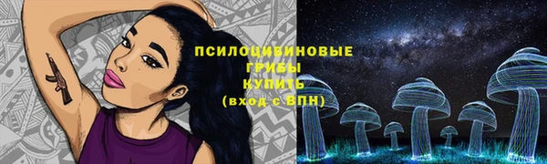 мет Козловка